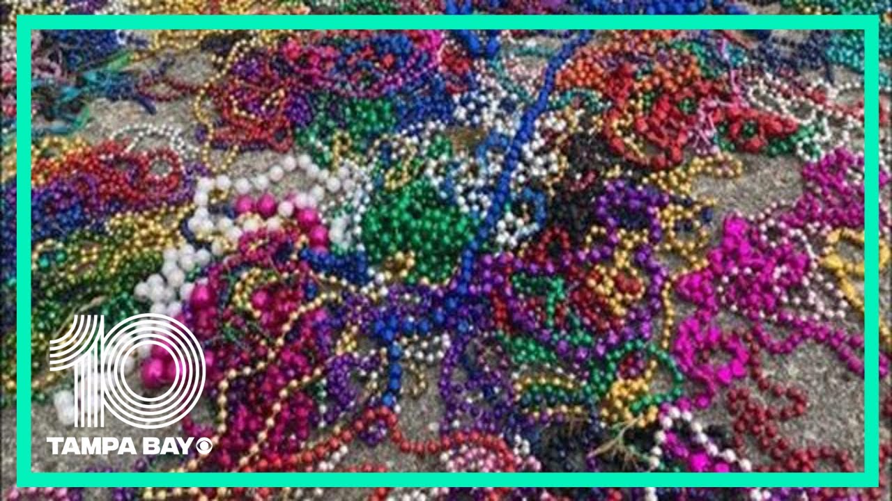 Tampa mayor doesn't want beads in Tampa Bay during Gasparilla