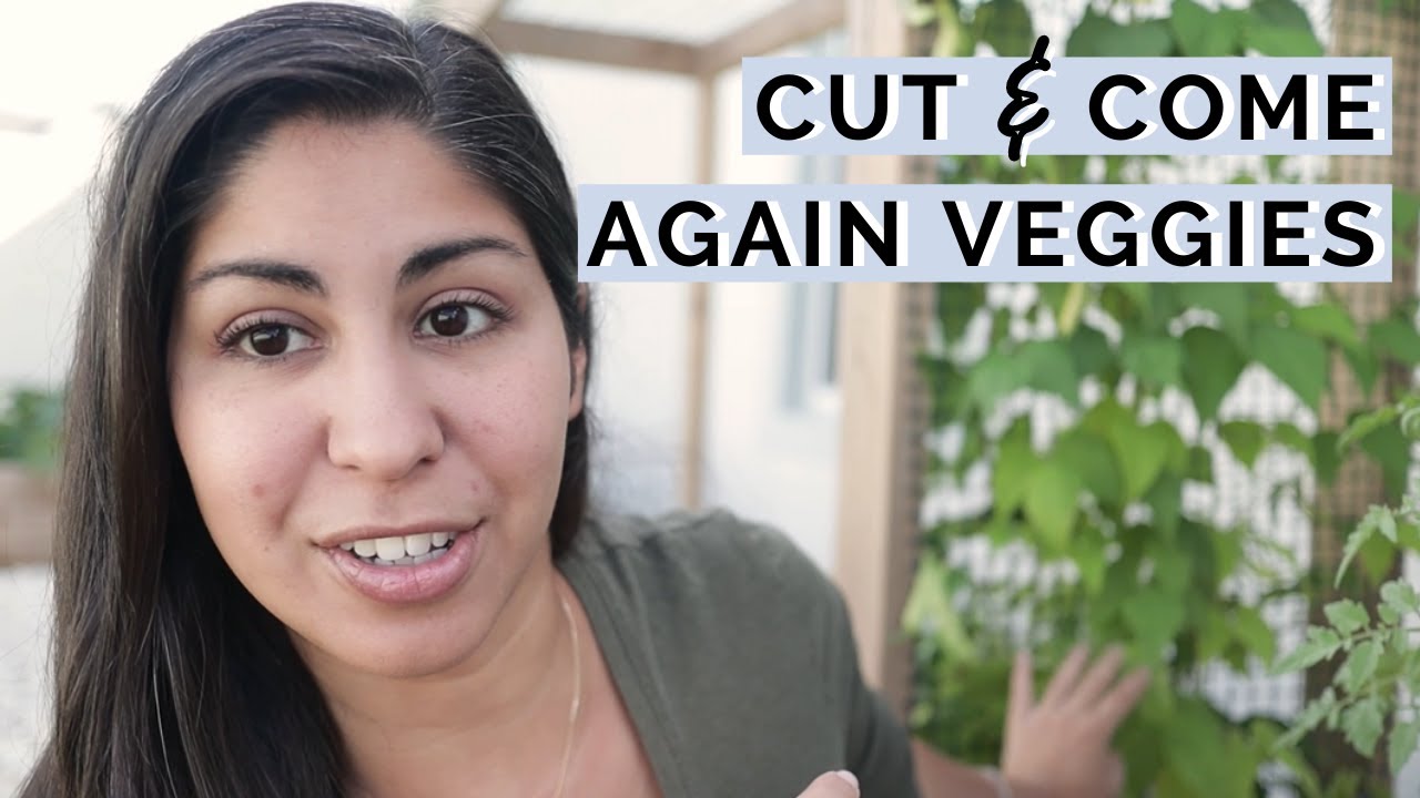 The BEST Cut and Come Again Vegetables | Cut and Come Again Vegetable Garden