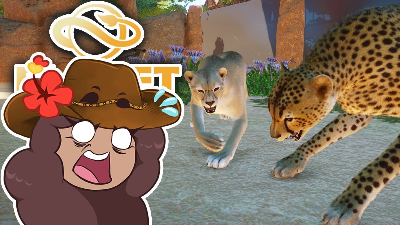 A Hissy CHEETAH Cat Fight?! 🦒 SAHULA SAFARI • #47
