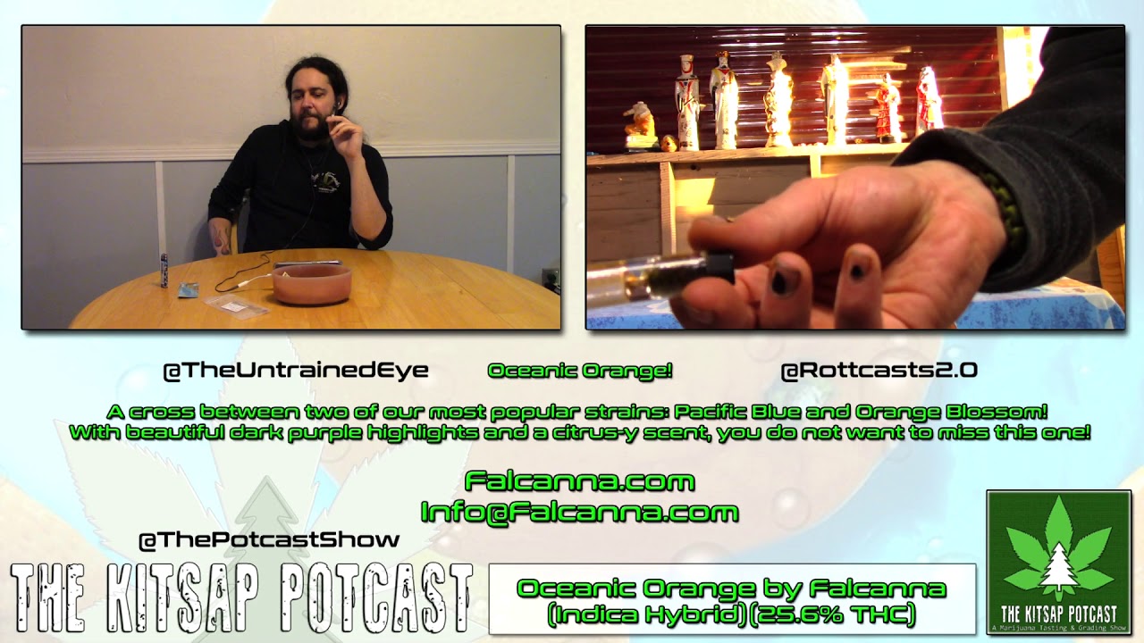 The Potcast Show feat. Oceanic Orange by Falcanna (Indica-Dom Hybrid)