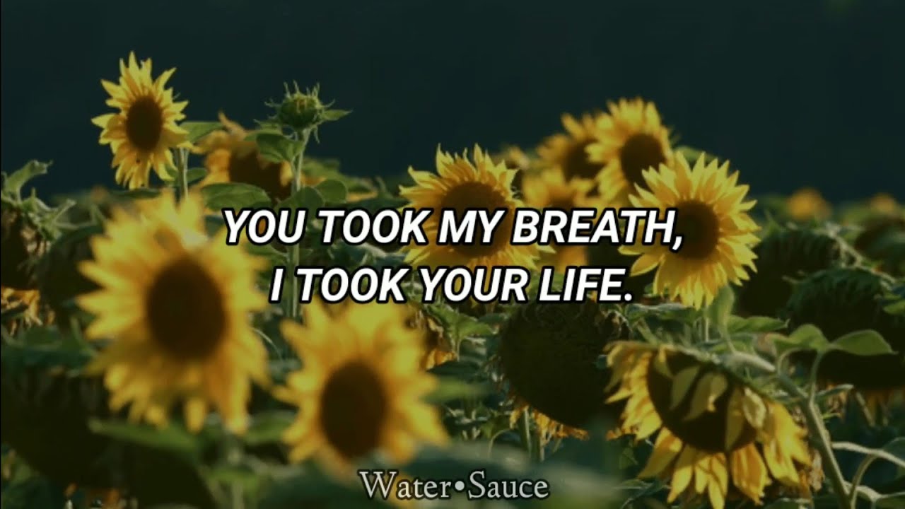 Nasa Histoires - Girasol/Sunflower (English Sub)