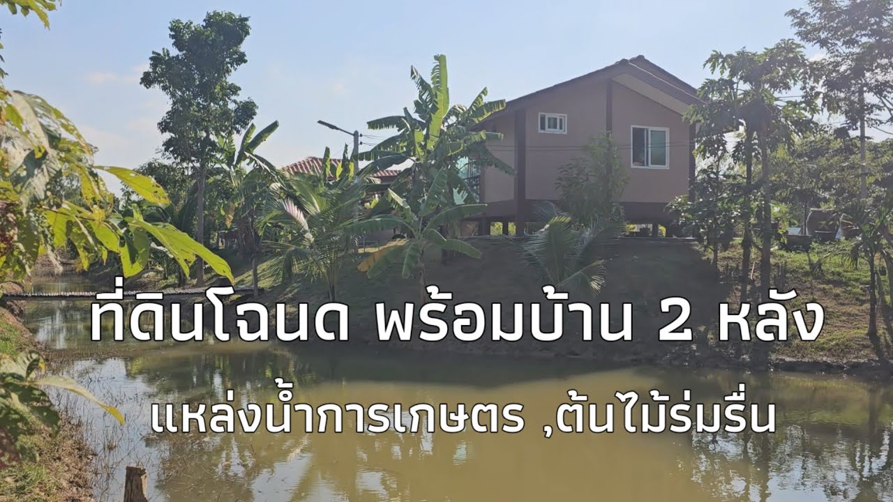 ที่ดินโฉนดพร้อมบ้าน 2 หลัง ติดถนนลาดยาง มีแหล่งน้ำการเกษตร ,ต้นไม้ร่มรื่น ใกล้ 7-Eleven | ราชบุรี