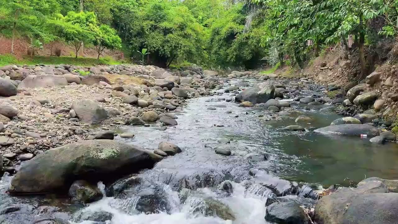 Flowing Forest River Sounds for Deep Calm, Stress Relief & Mental Balance