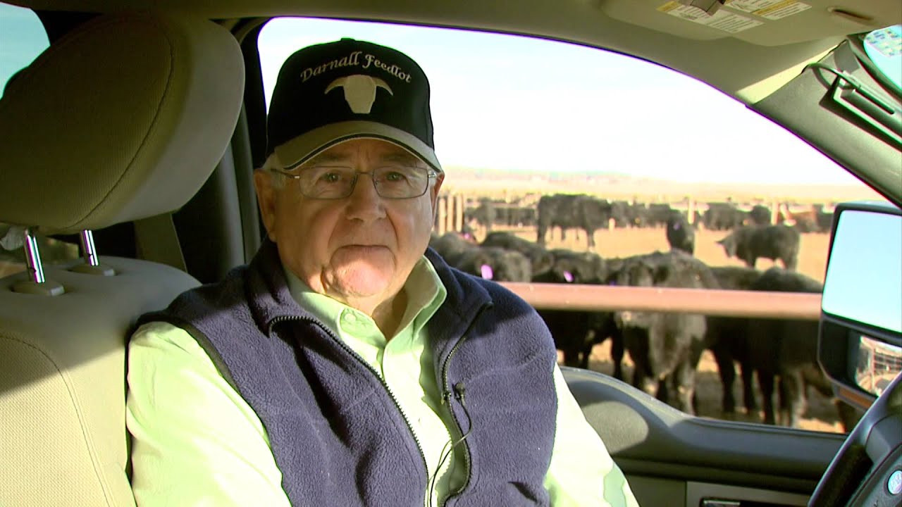 I Am Angus: Gary Darnall, Darnall Feedlot, Harrisburg, Nebraska