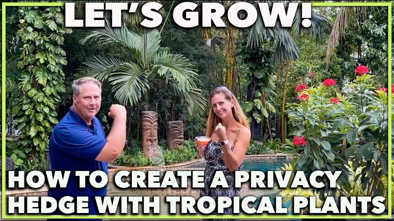 HOW TO PLANT A PRIVACY HEDGE