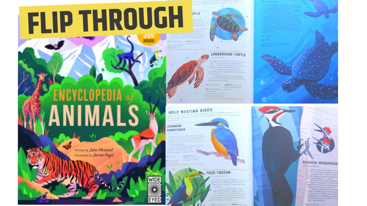 Encyclopedia of Animals: Contains 300 species by Jules Howard