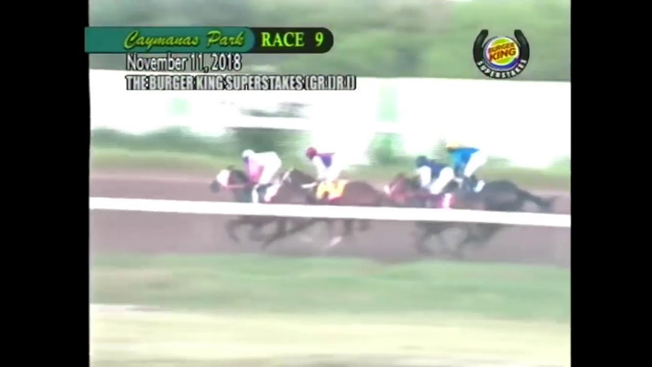 She's A Maneater (JAM) - 2018 Jamaica Super Stakes