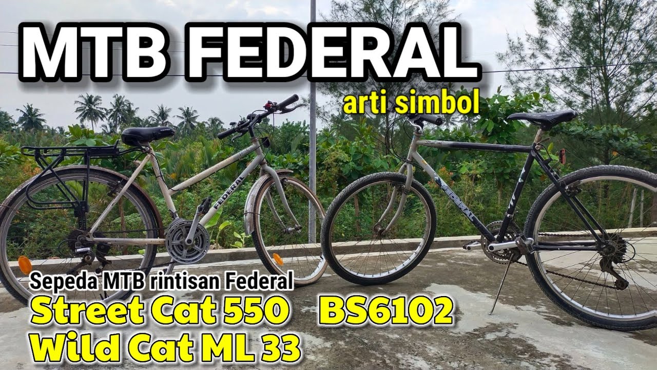 SPESIFIKASI DAN KISAH SEPEDA FEDERAL STREET CAT 550 DAN WILDCAT ML