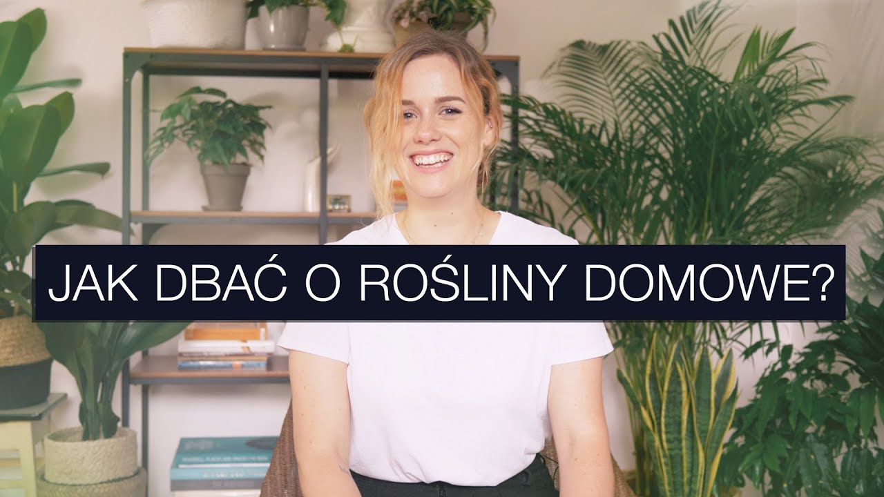 JAK DBAĆ O ROŚLINY W DOMU? Poradnik Dla Początkujących