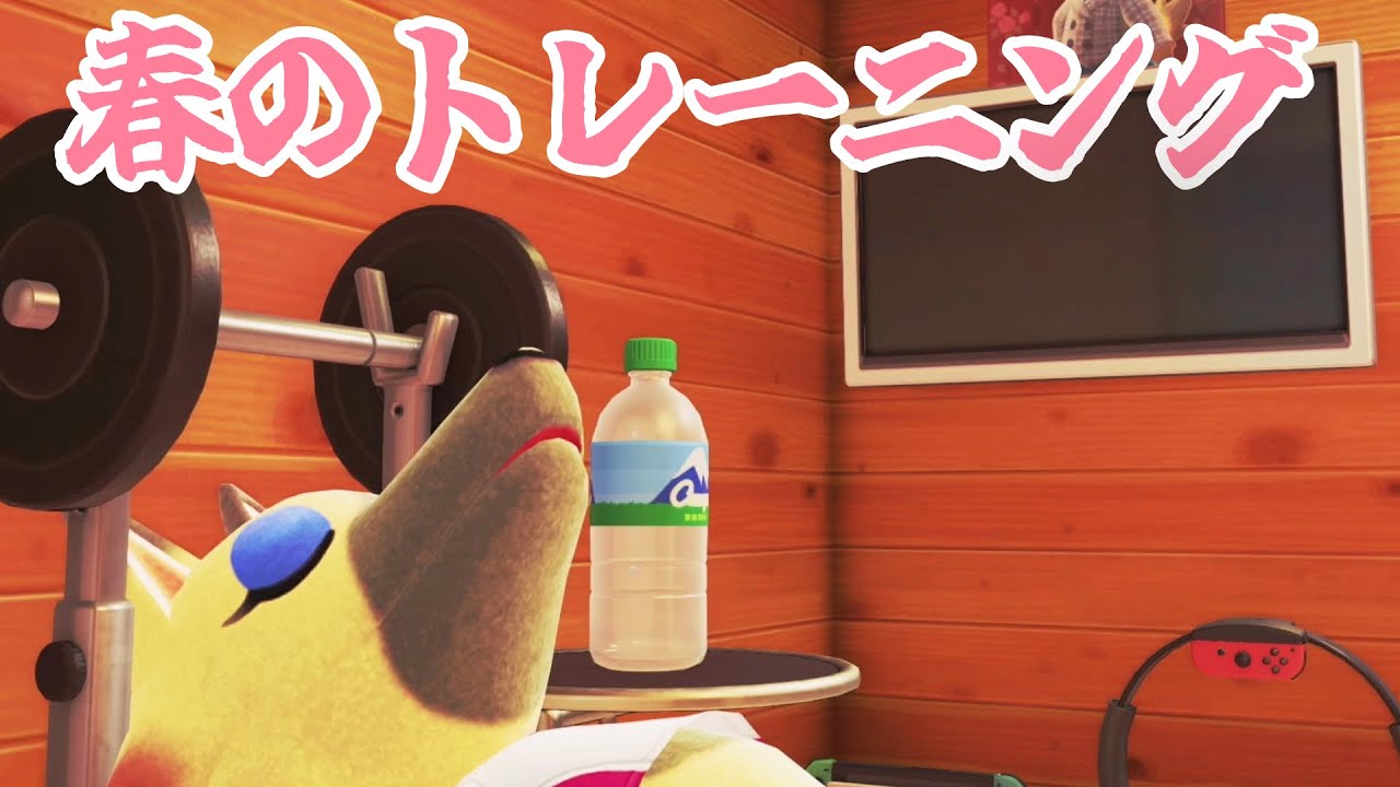 【実況】春のトレーニングと行こうか【あつまれどうぶつの森 ハッピーホームパラダイス】