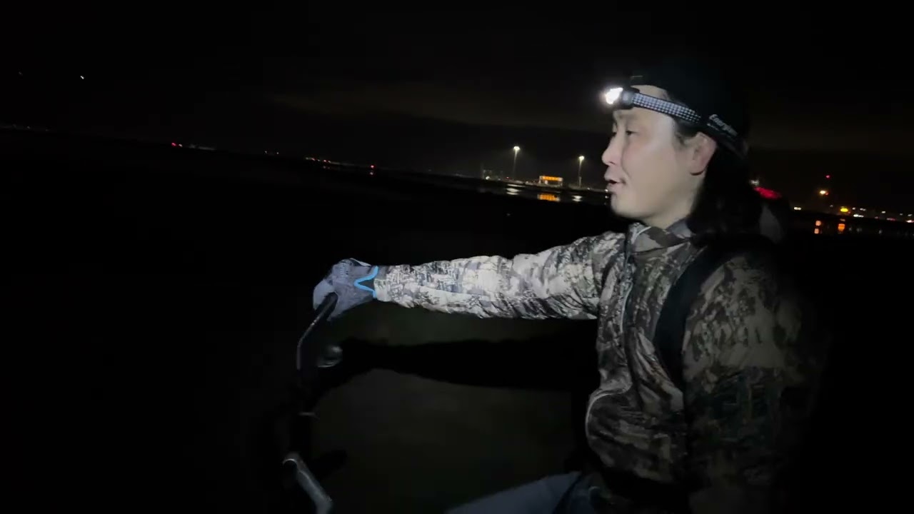 east bay trip
