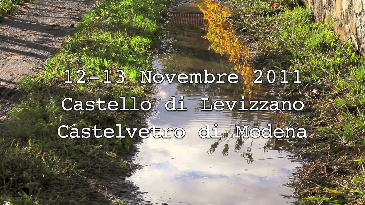 TERRE DI VITE 2011 - Castello di Levizzano - Castelvetro, Modena 12-13 Novembre 2011