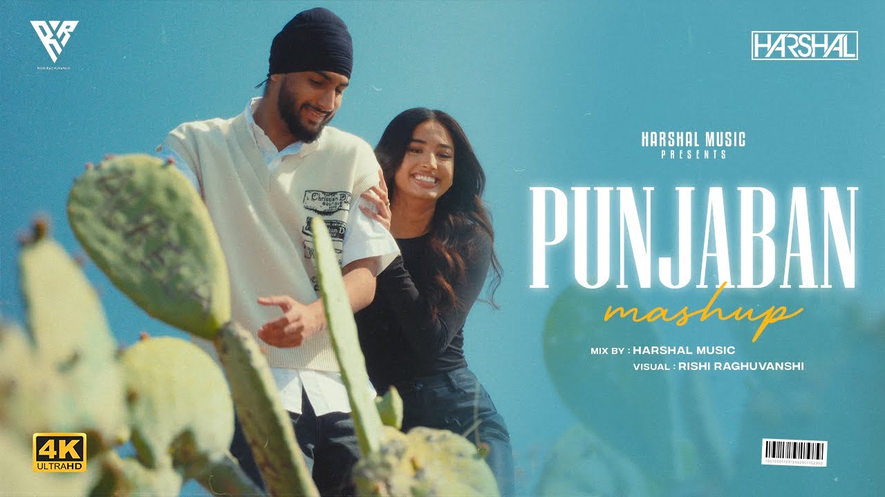 Punjaban Mashup | Harshal Music | Sukha X The Prophec X Tegi Pannu | Punjabi Love Mashup 2025