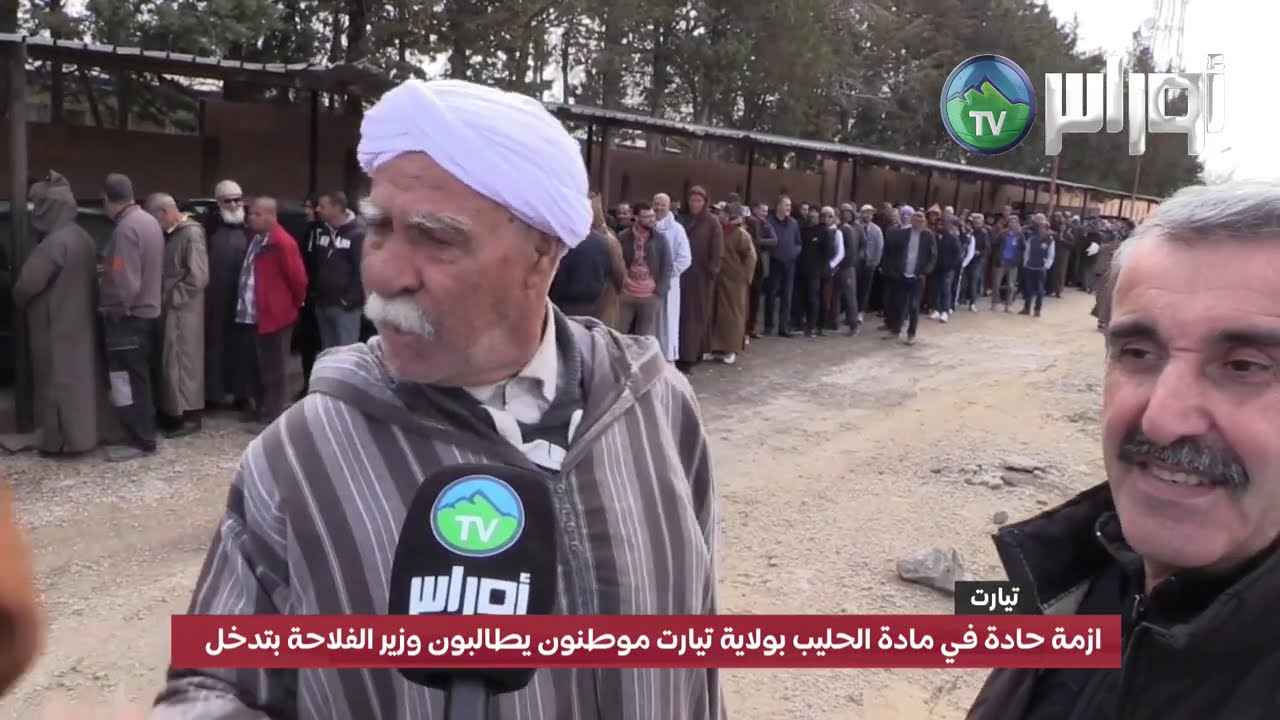 #تيارت