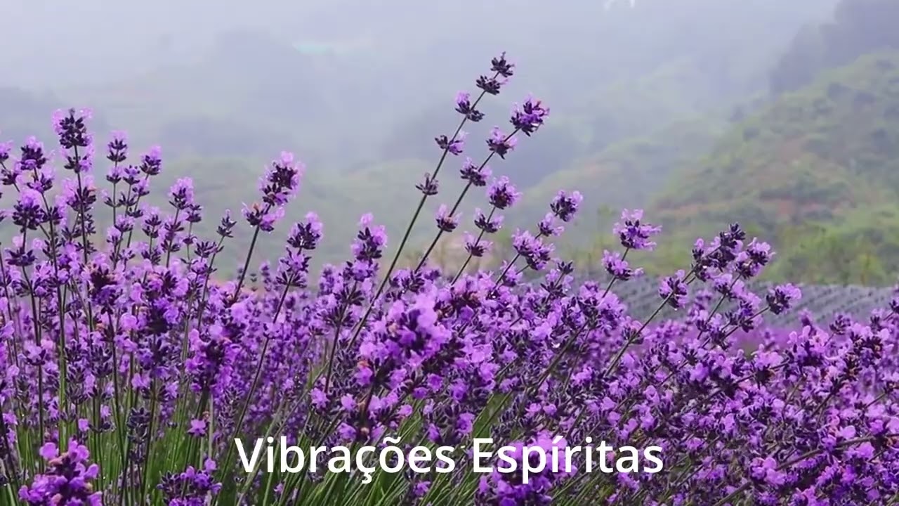 Vibrações Espíritas - Prece e vibração pelo bem universal