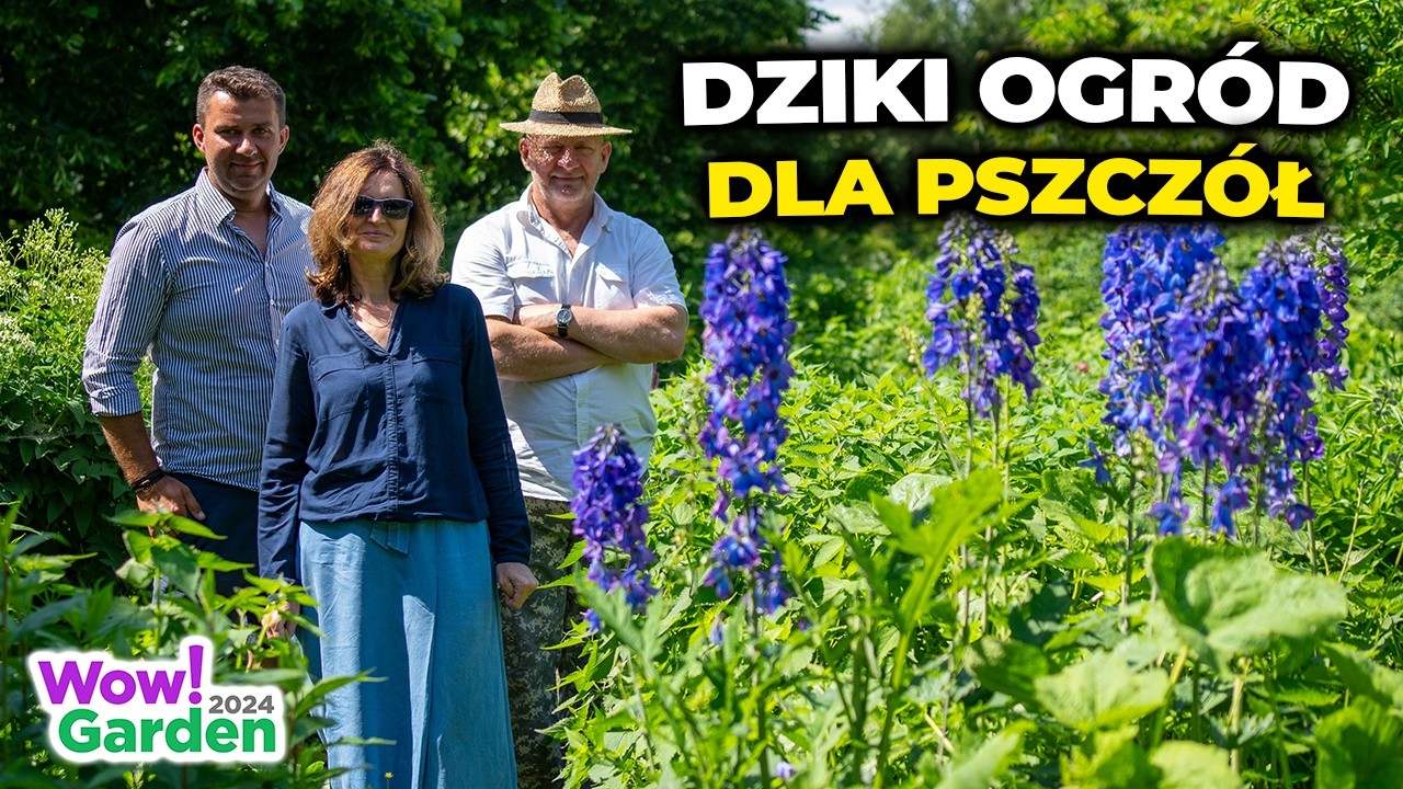 Naturalny, wiejski, dziki ogród stworzony dla pszczół. #garden #bee  #permakultura