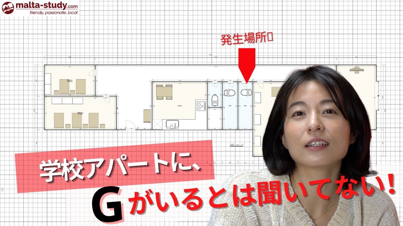 学校アパートにG🪳が毎日出現する....／マルタ留学エージェントが自身のマルタ留学を率直に自己採点するアパートメント編