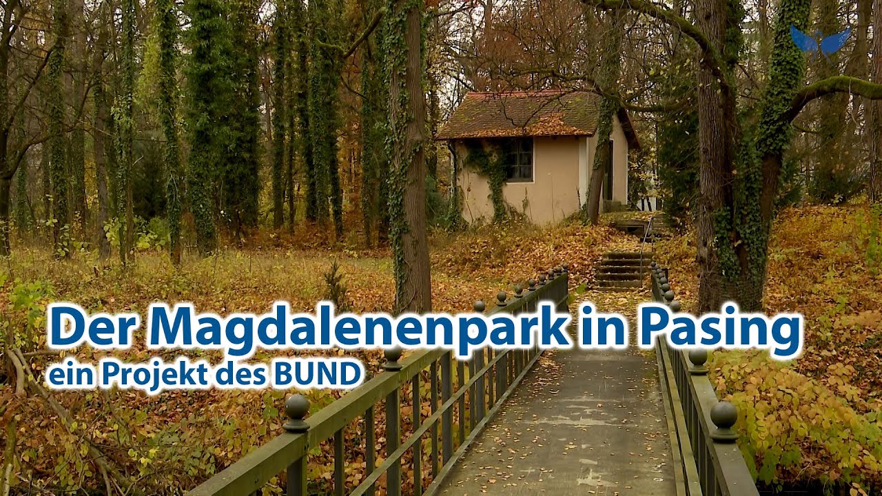 Der Magdalenenpark in München-Pasing - BUND Naturschutz
