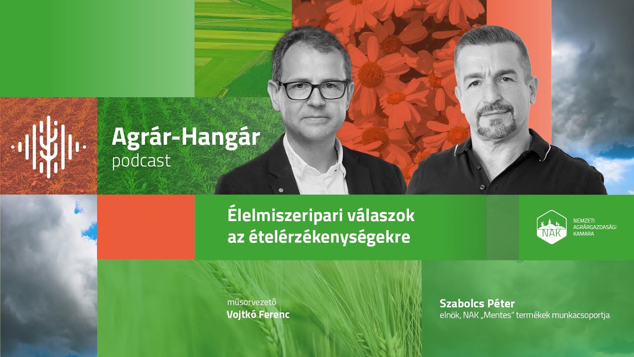 Agrárhangár: Szabolcs Péter