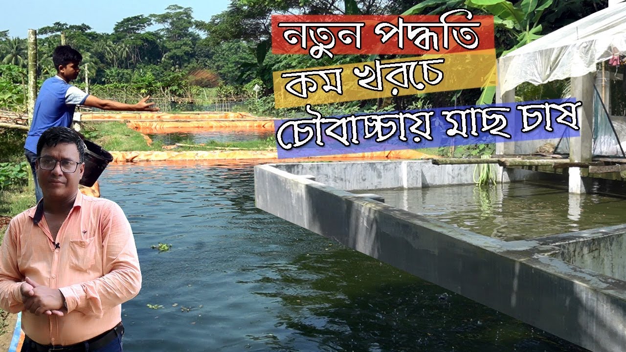 বায়োফ্লক নয় | অক্সিজেন ছাড়া | নতুন পদ্ধতি,কম খরচে চৌবাচ্চায় ও পুকুরে মাছ চাষ | পিরোজপুরের হাকিম