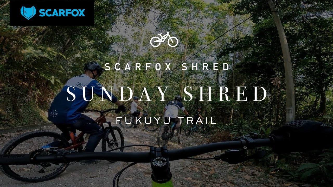 Scarfox Shred // Sunday Shred // Dry Fukuyu Trail