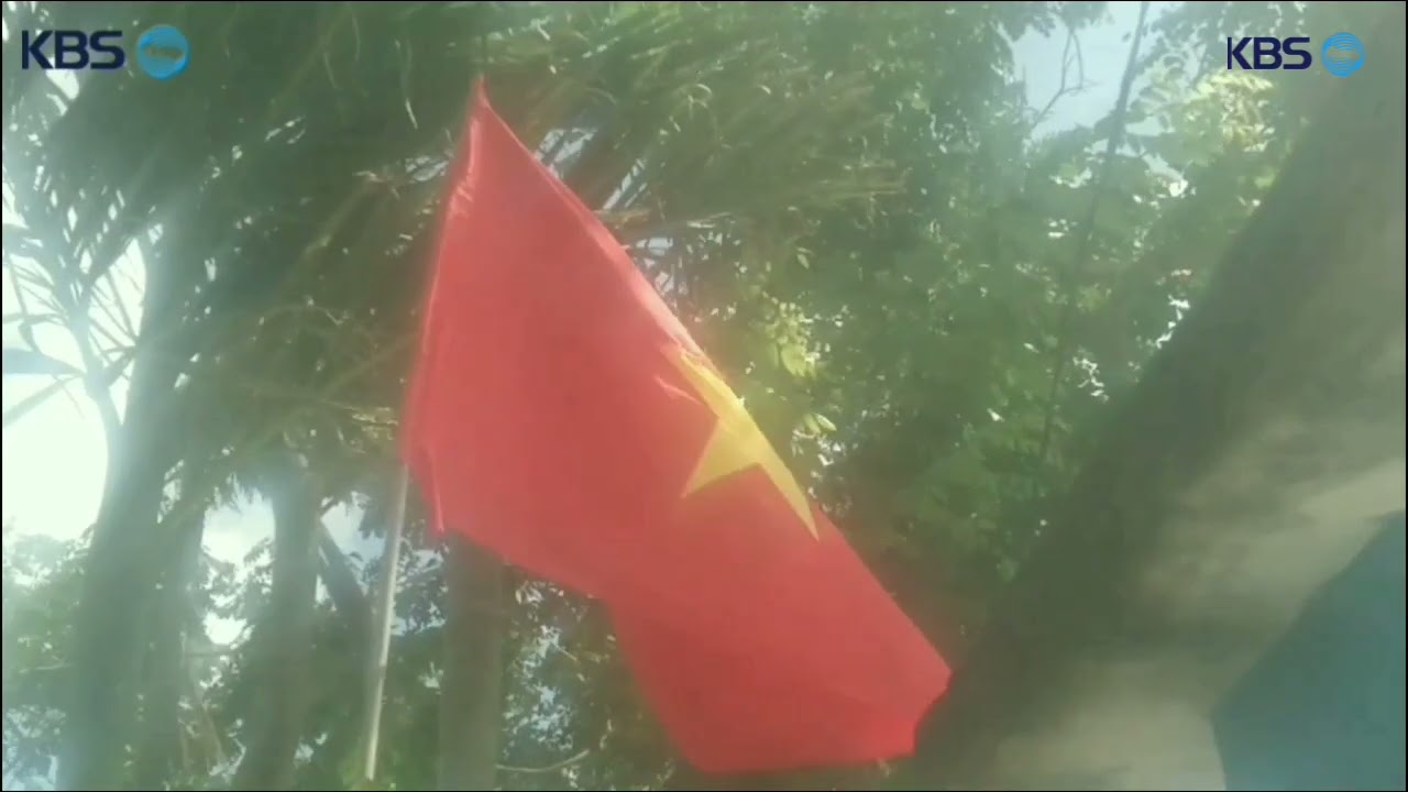 Nhìn Lại Người Làm Sàn Forex Năm Thứ 26 - KBS @KBSDocumentary #kbs @DuocNamHaOfficial 