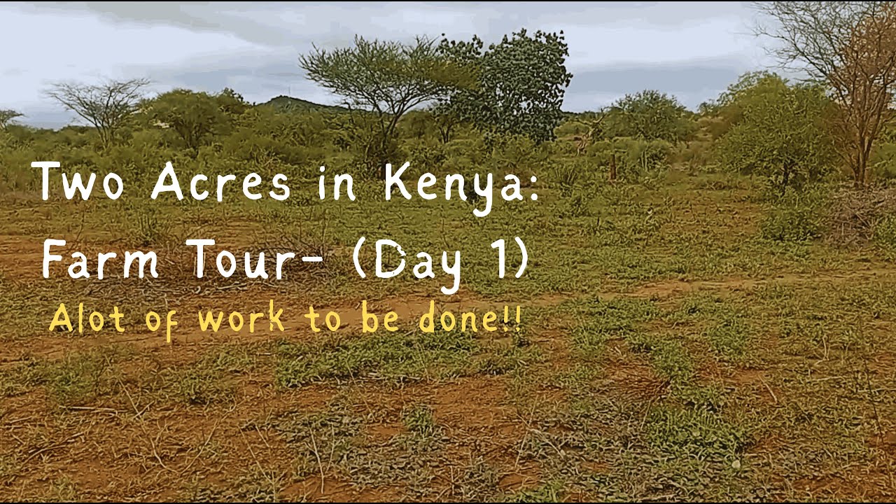 First Look at Our Bare Kenyan Farm ( Day 1)