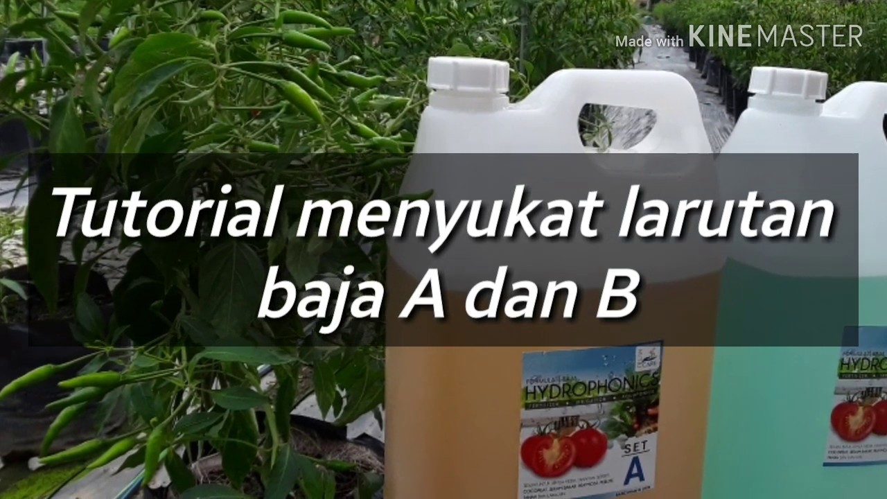 2# Tutorial Menyukat Baja AB menggunakkan EC Meter