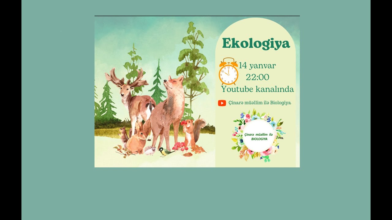 Ekologiya  - 1