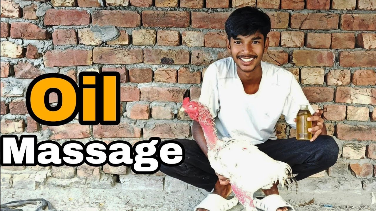 Oil Massage of the Rooster 🐓