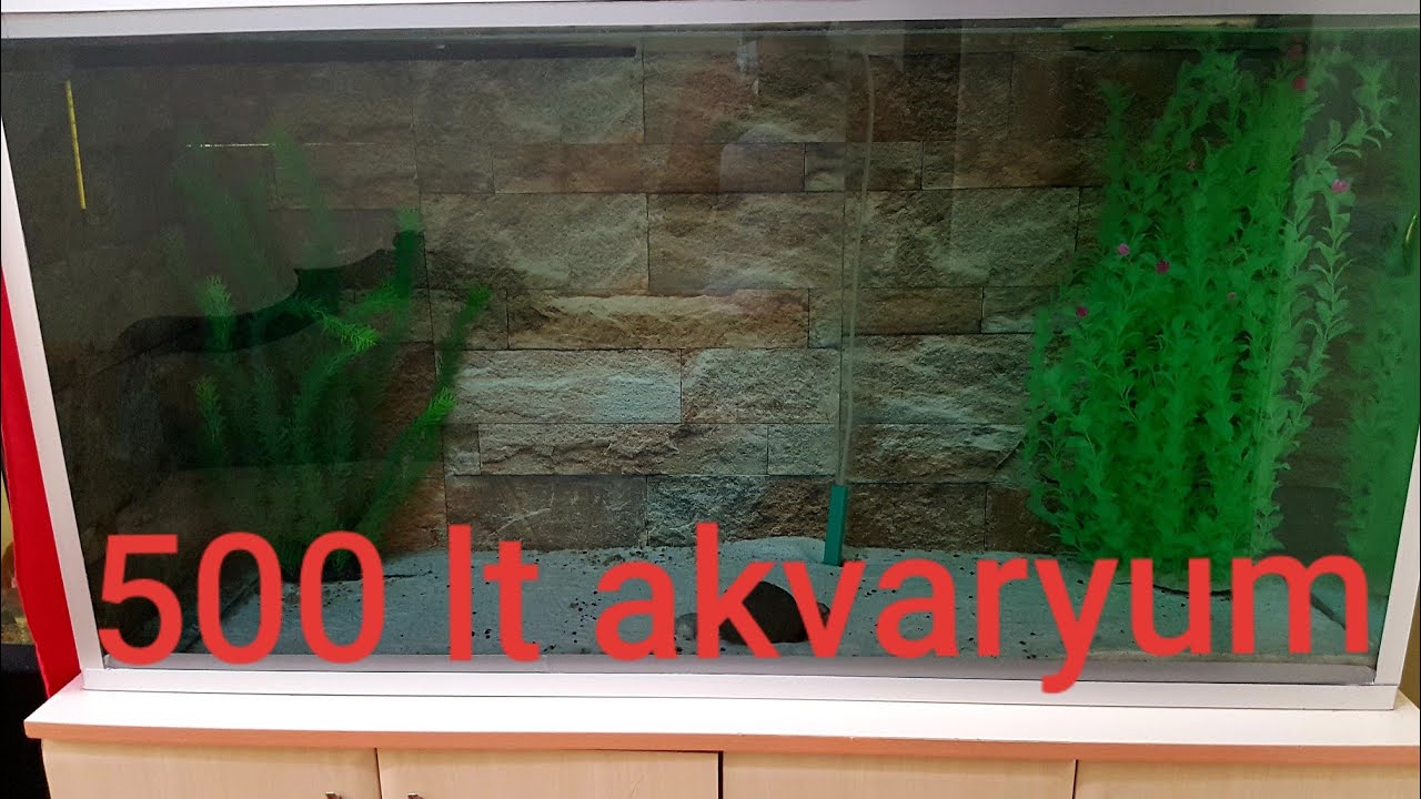 AKVARYUM KURUYORUZ 500 LT YENİ DÜZEN