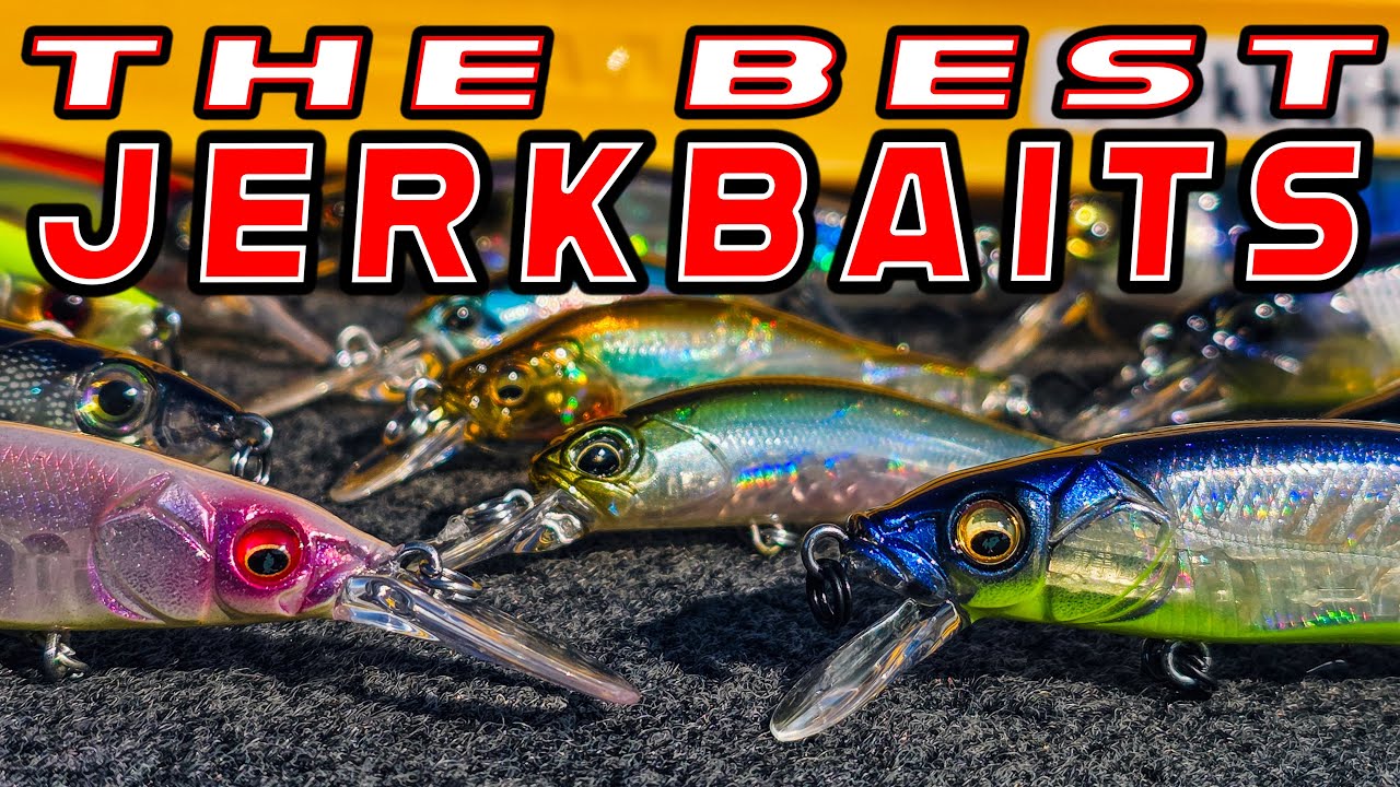 Jerkbait Fishing For Bass: Full Seminar! (Beginner To Advanced)