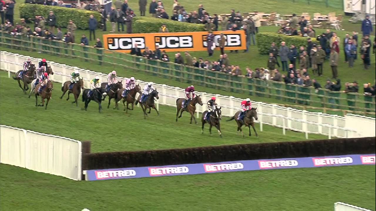CONEYGREE wins the 2015 Cheltenham Gold Cup - the first novice to win the race for 41 years