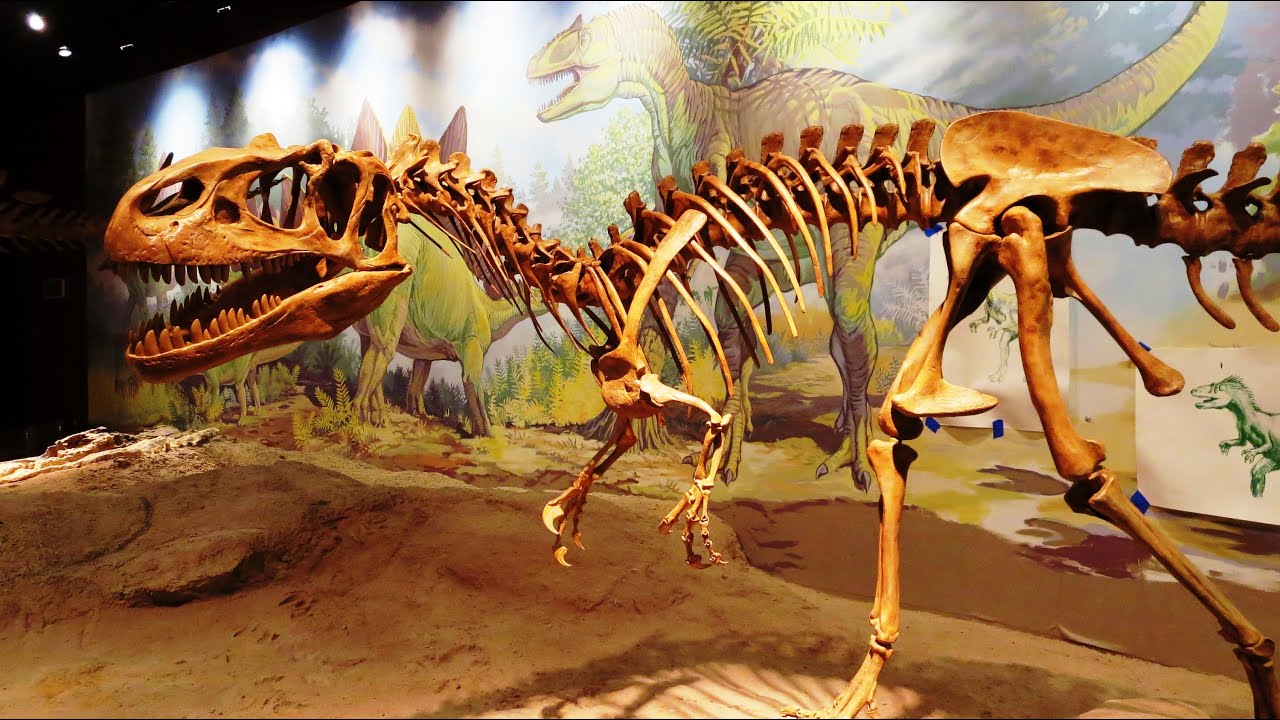 Utah Field House of Natural History State Park Museum - Vernal, UT