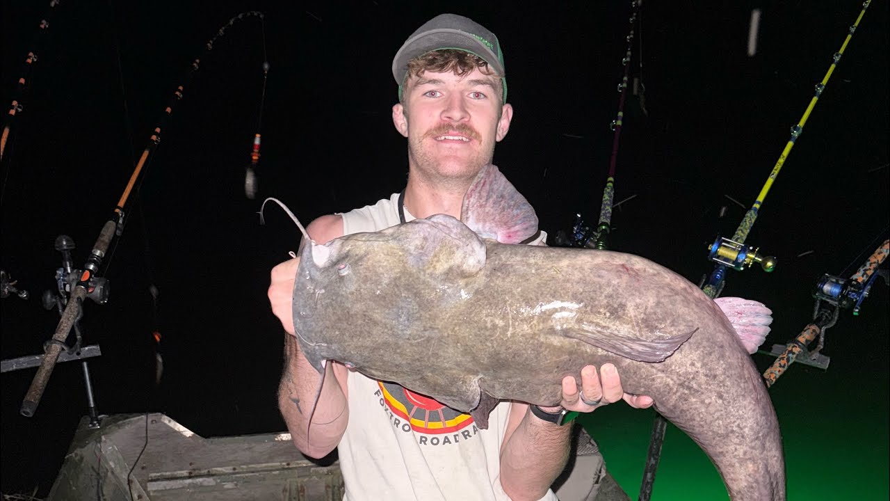 Multiple FLATHEAD Live Here!! (BIG Fish!!!)