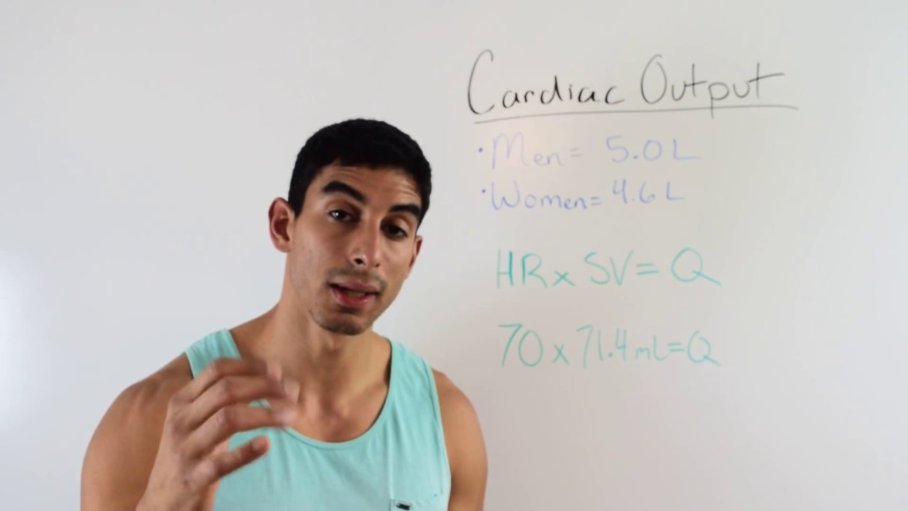 Understanding and Calculating Cardiac Output: ACSM Certified Personal Trainer Exam Prep