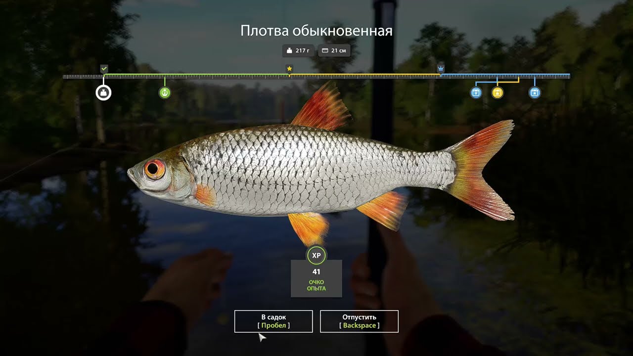 Fishing 4 2026 03 20 09 48 46