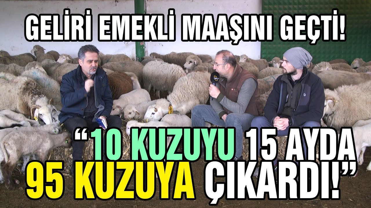 Geliri Emekli Maaşını Geçti! / 