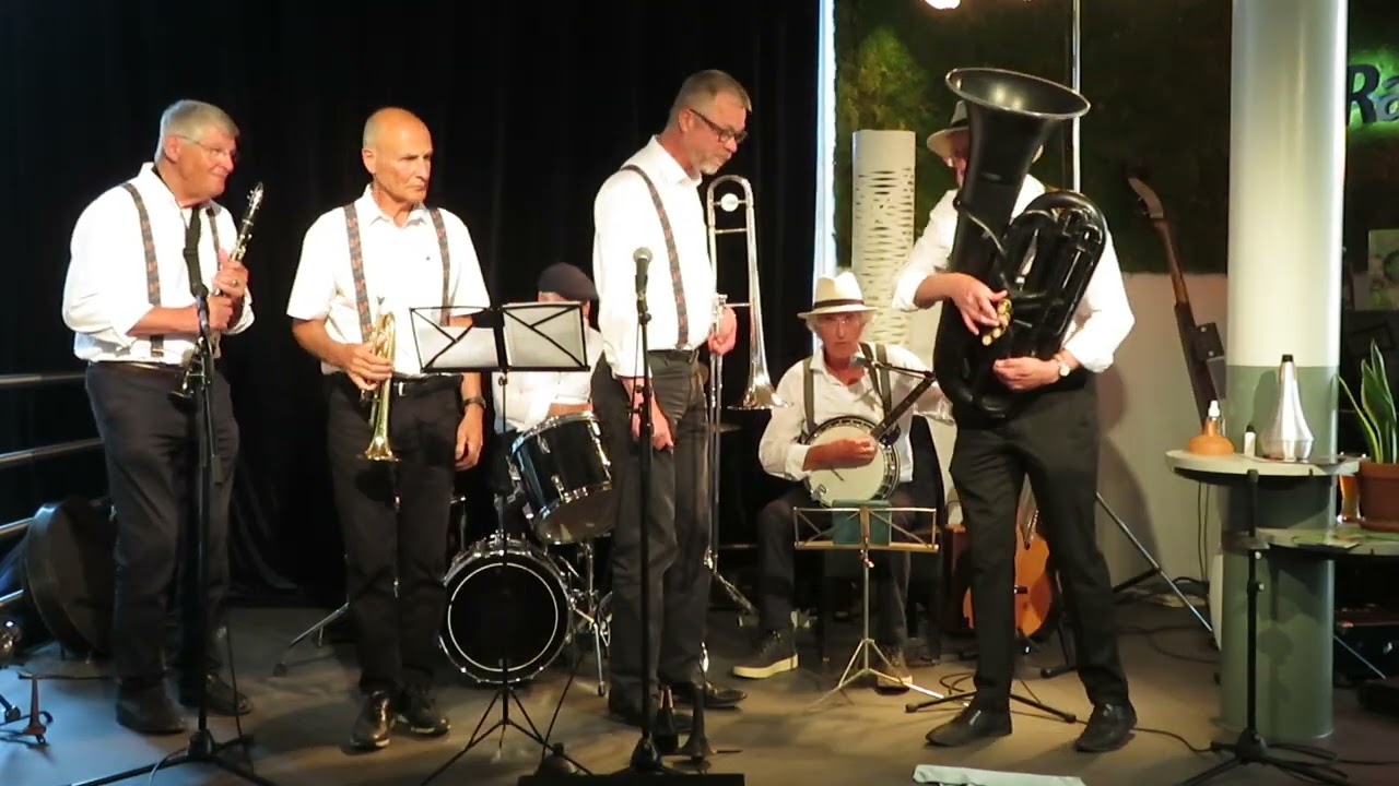 Sandlake City Jazzband - Bill Bailey want you please come home