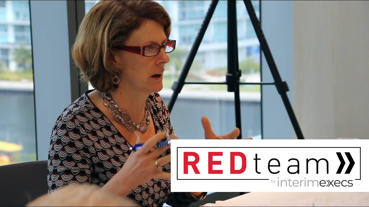Transform Your Business with an Interim Executive from the RED Team