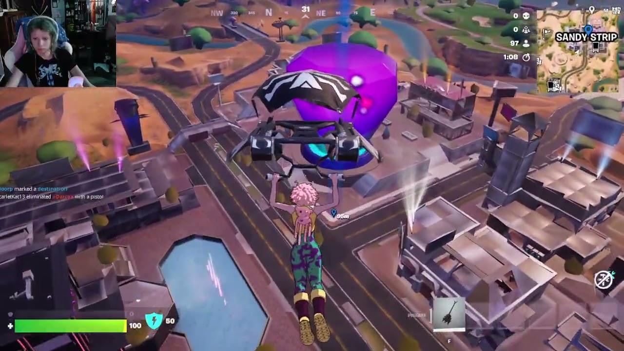 Lit js playing Fortnite with my bird