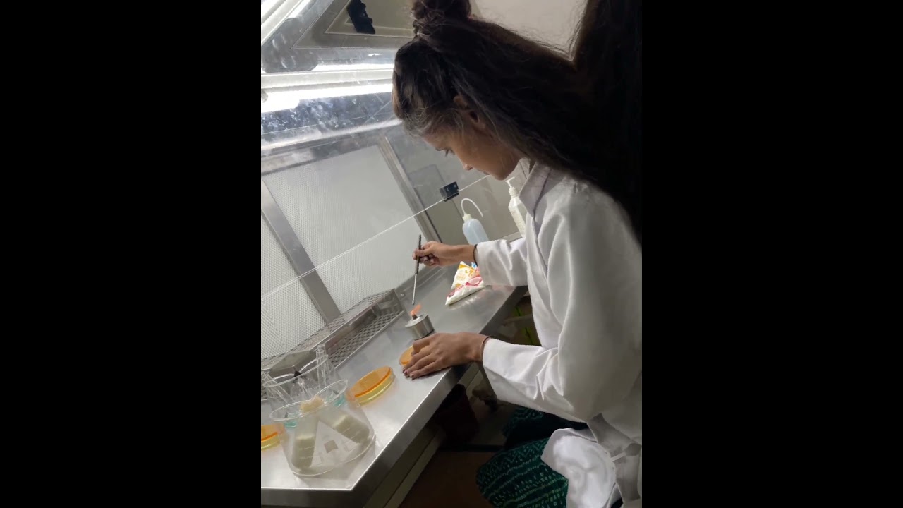 Milk analysis. #microbiology #biotechnology #foodscience #foodmicrobiology
