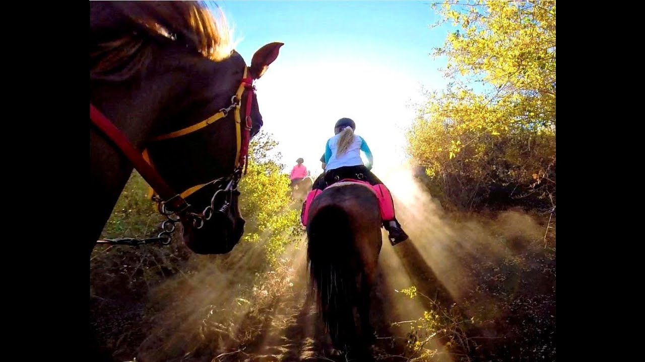 Endurance Riding - FuN At Any Age!!
