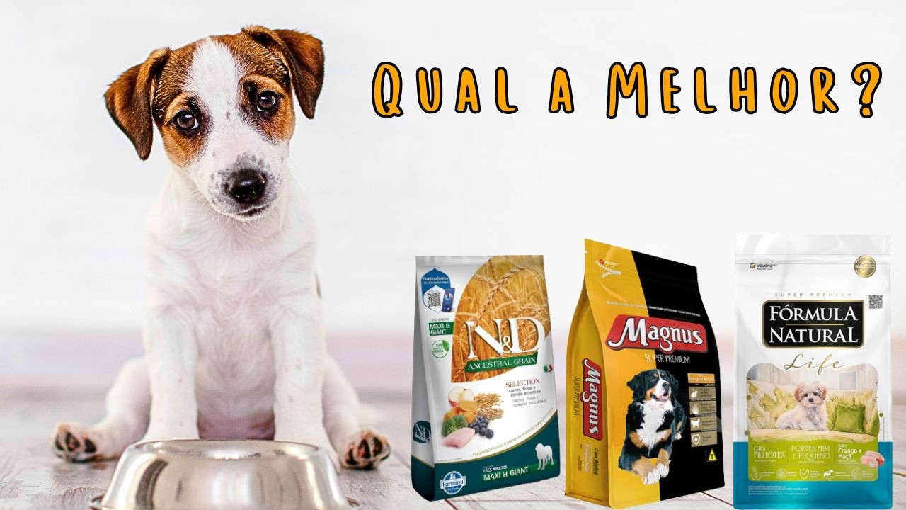 QUAL MELHOR RAÇÃO DO MERCADO PARA CÃES E AS DIFERENÇAS ENTRE A PIOR