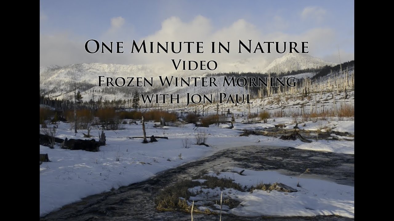 One Minute in Nature Frozem Winter Morning