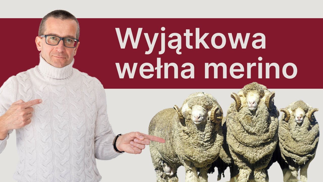 Wełna merino - idealna na każdą porę roku | Klasyczne Buty