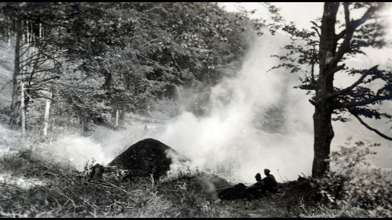 Anna Varga: Vegetation and charcoal burning