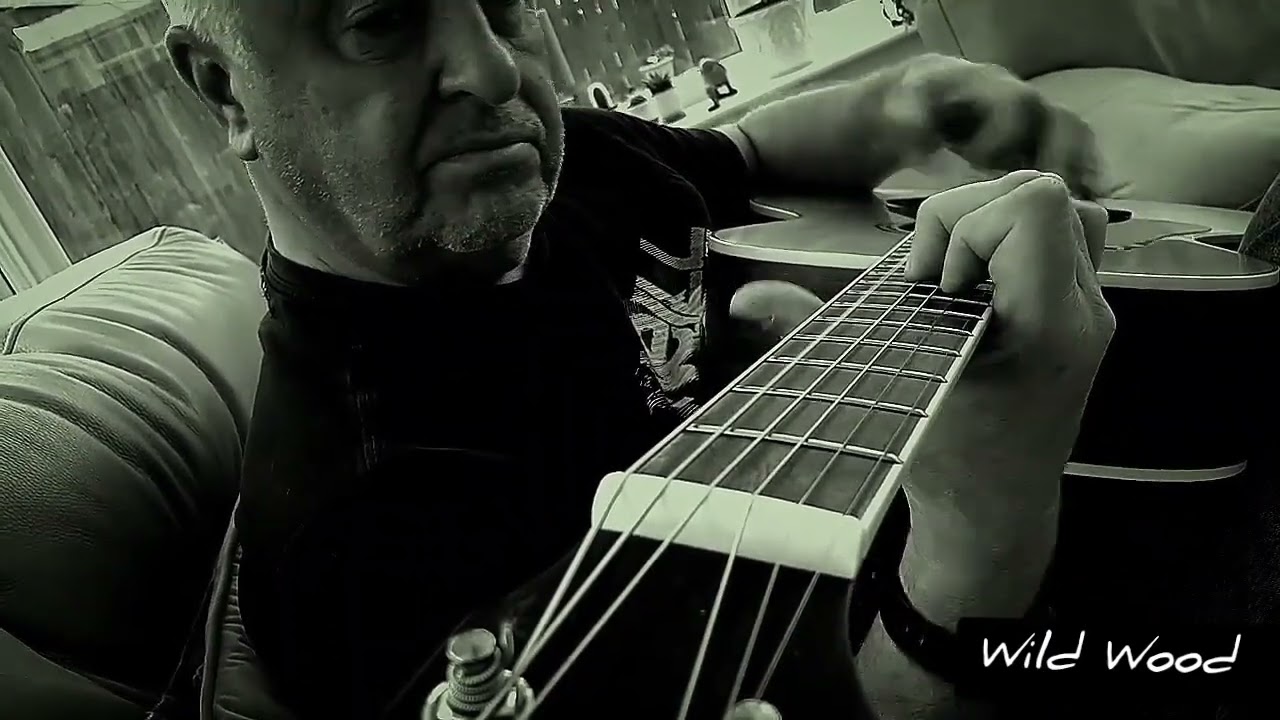 Wild Wood - a Paul Weller song 