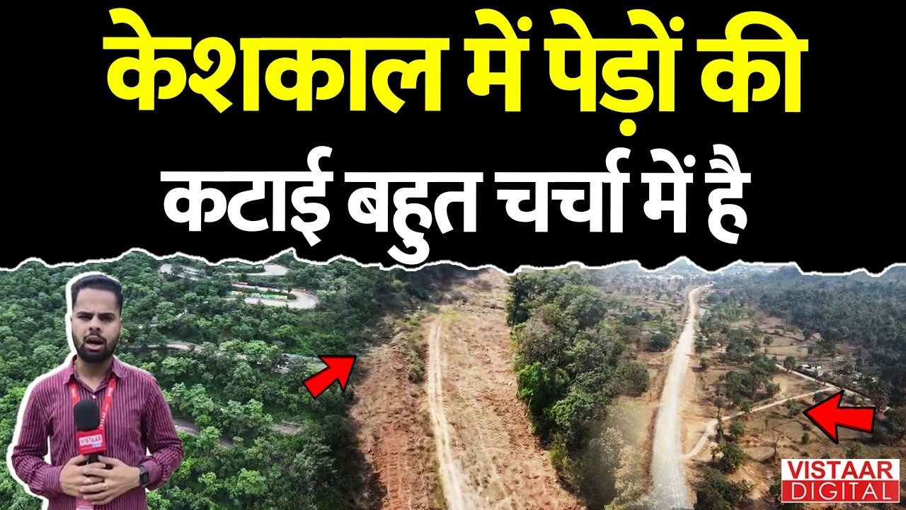 Keshkal में पेड़ों की कटाई बहुत चर्चा में है| Vistaar Digital |