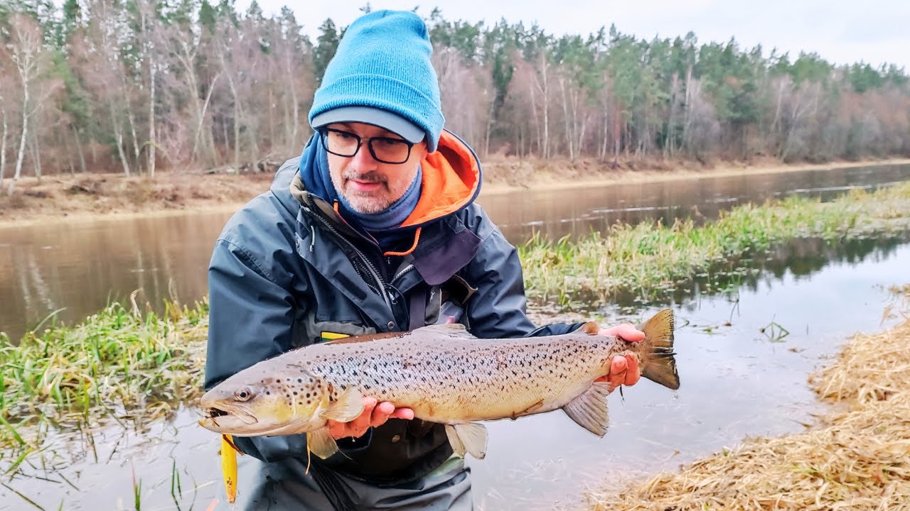 Lašišos ir šlakiai. Žvejyba 2025 / Salmon, seatraut fishing